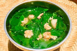 Những Điều Có Thể Bạn Chưa Biết Về Rau Sen Đại Bình Nổi Tiếng